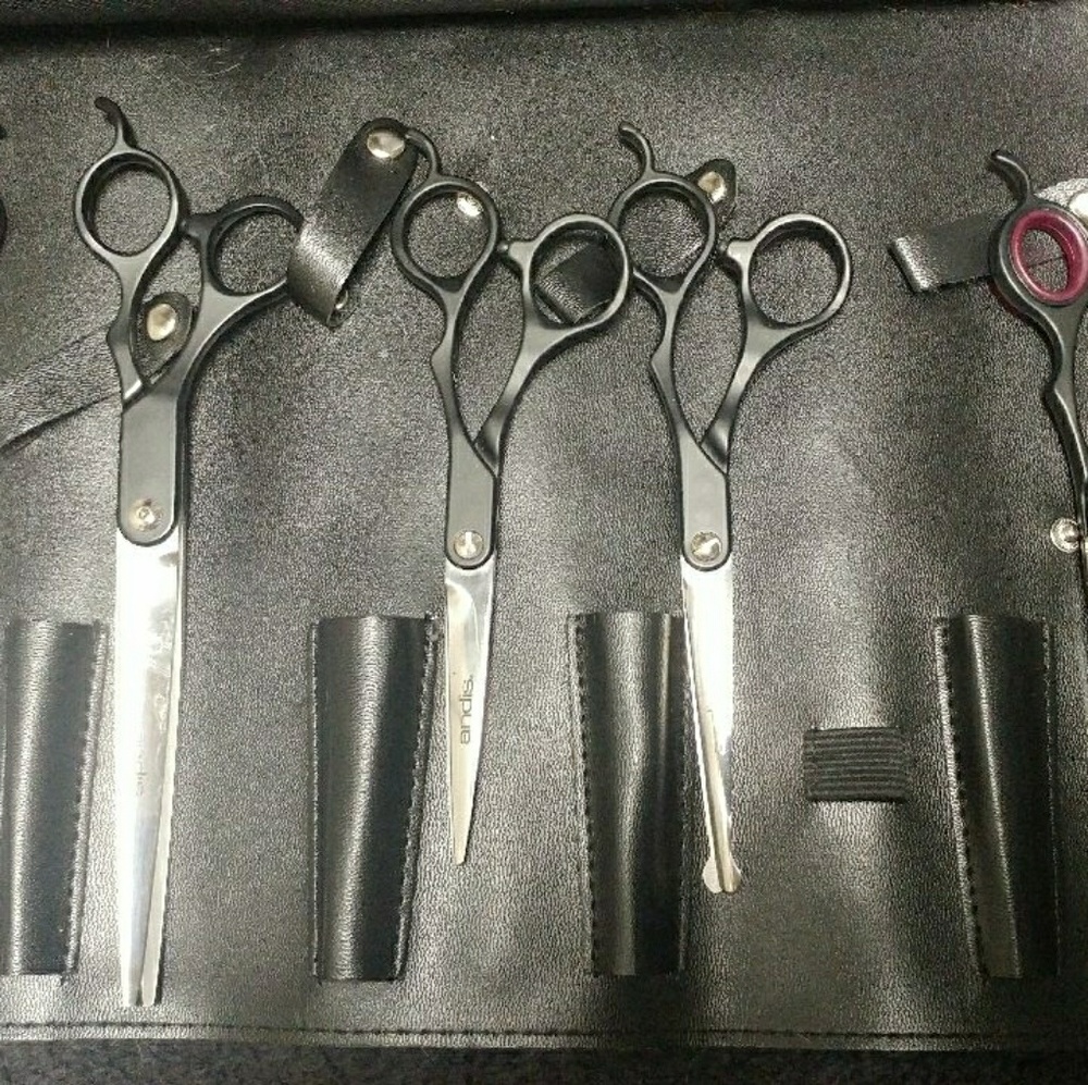 Pet grooming set